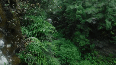 giphy-downsized-large